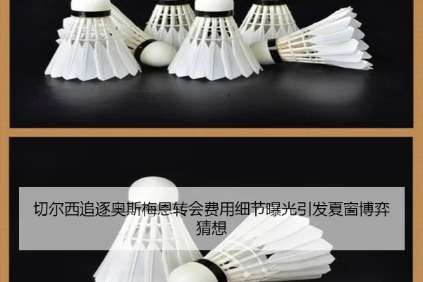 切尔西追逐奥斯梅恩转会费用细节曝光引发夏窗博弈猜想