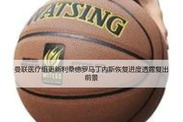 曼联医疗组更新利桑德罗马丁内斯恢复进度透露复出前景